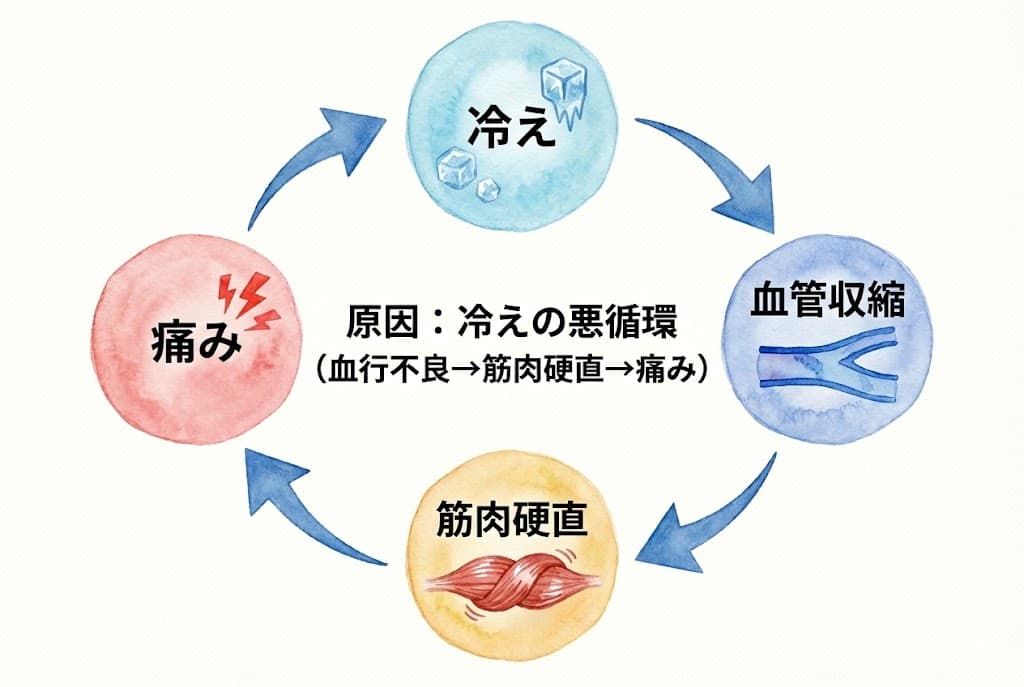 冷え性の悪循環